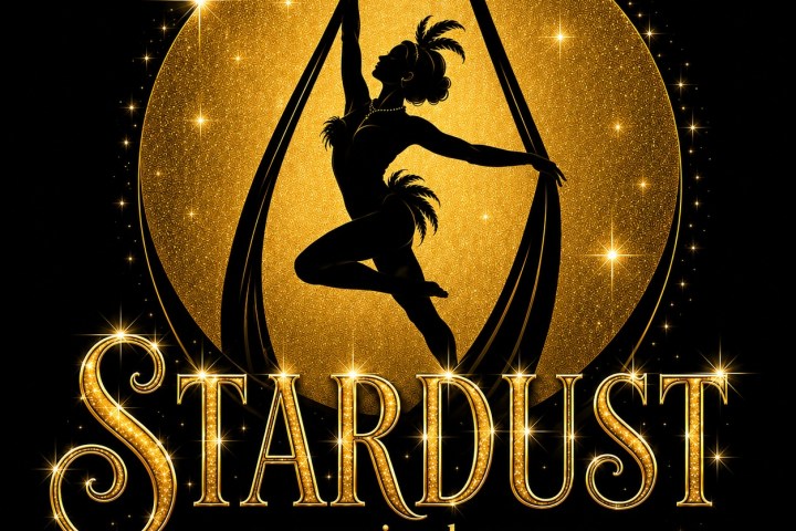 Silhouette of performer on silks inside golden circle, text 'Stardust a musical revue' below.