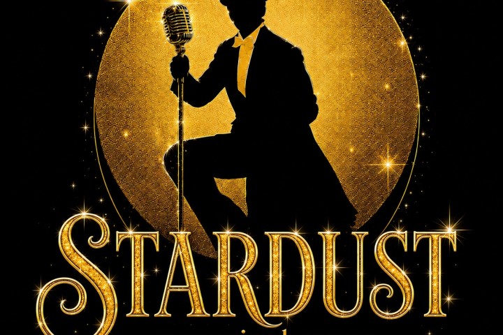 Silhouette of performer with microphone, golden moon backdrop, text: Stardust, a musical revue.
